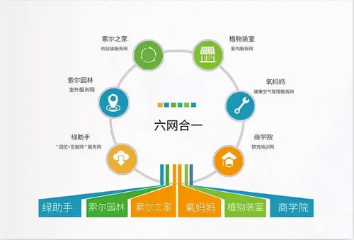 園林綠化廣告宣傳與軟件開發(fā) 如何通過網(wǎng)絡營銷接大工程訂單