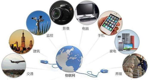 沈陽智能制造升級 信息處理物聯網卡及網絡工程服務迎來特價機遇