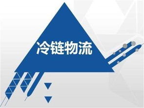 多方競爭下的冷鏈物流 如何以網絡工程構建新的競爭優勢