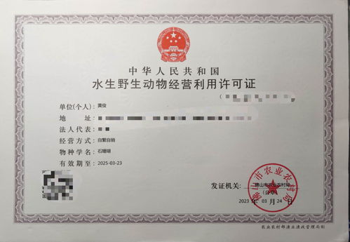 攜手專業(yè)力量，共拓水產(chǎn)健康養(yǎng)殖新篇章——誠(chéng)邀各省市代理加盟
